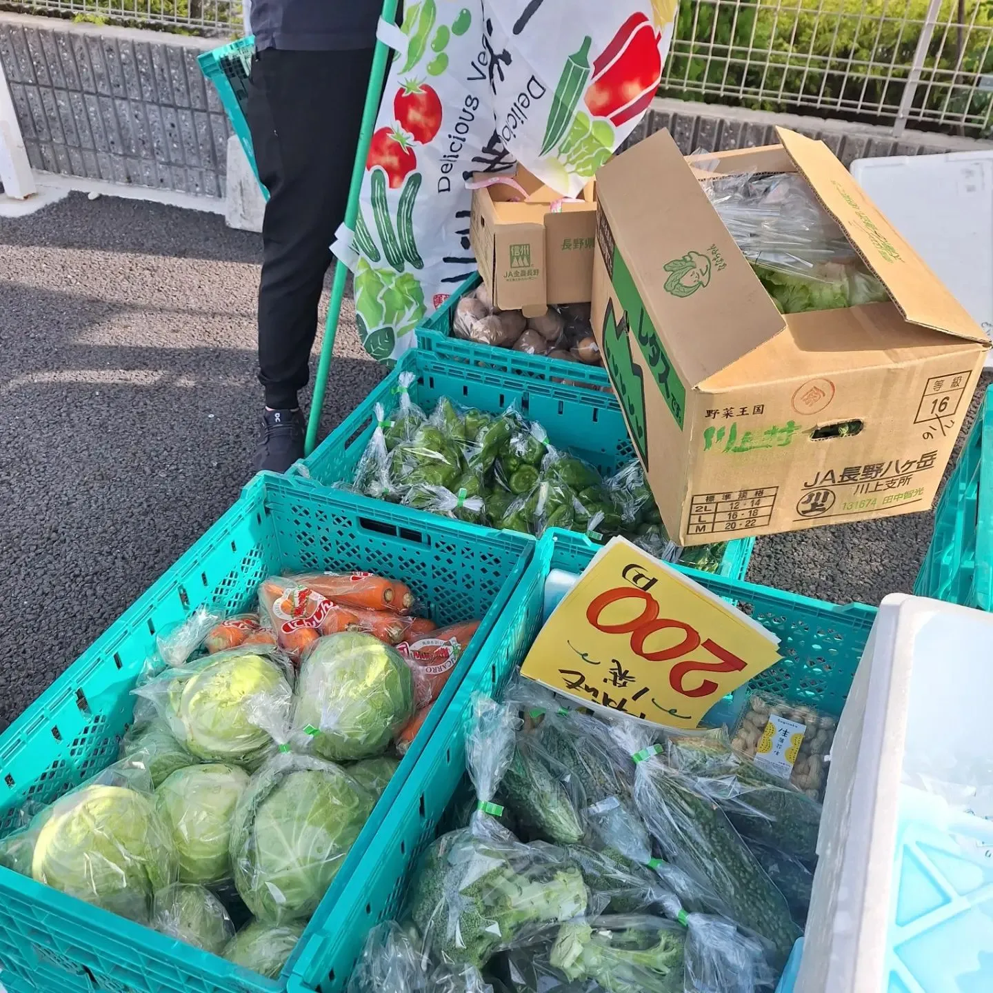 暑さに負けず新鮮な野菜と果物が熱揃い！